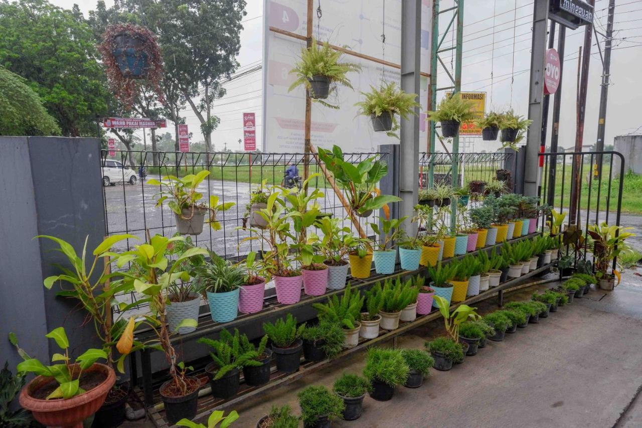 Oyo 3746 Double Tree Guesthouse Purwokerto Buitenkant foto